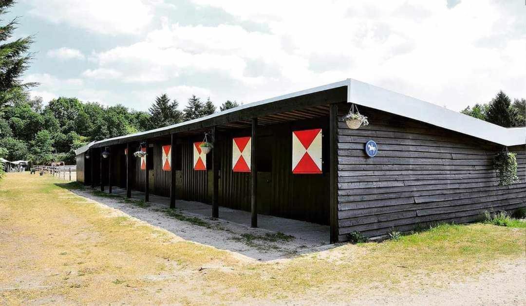 Prachtig Chalet In De Bossen Nunspeet Buitenkant foto